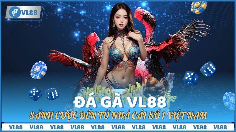 Đá Gà VL88 – Sảnh Cược Đến Từ Nhà Cái Số 1 Việt Nam